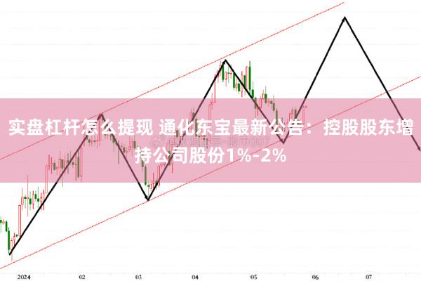 实盘杠杆怎么提现 通化东宝最新公告：控股股东增持公司股份1%-2%