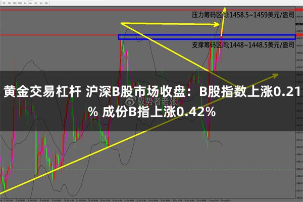 黄金交易杠杆 沪深B股市场收盘：B股指数上涨0.21% 成份B指上涨0.42%