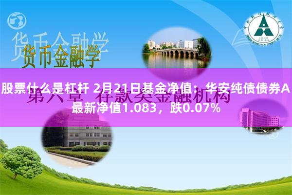 股票什么是杠杆 2月21日基金净值：华安纯债债券A最新净值1.083，跌0.07%