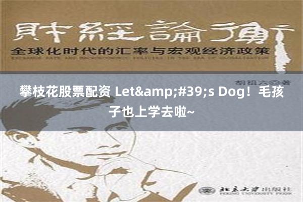 攀枝花股票配资 Let&#39;s Dog！毛孩子也上学去啦~